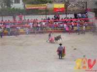 Toros de pueblo