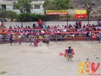 Toros de pueblo