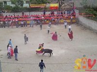 Toros de pueblo