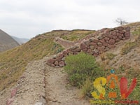 Ruinas Pre-Incas del Pucará de Rumicucho
