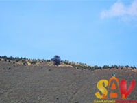 El Árbol Solitario - Cerro Sillakunga
