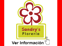 Sandrys Floristeria y Novedades